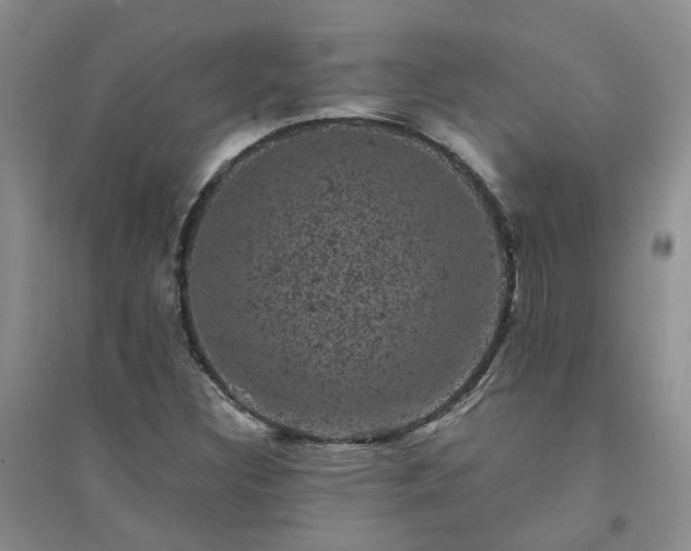 X0000094441308200711151355