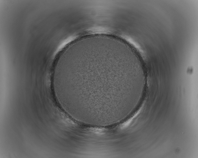 X0000094441309200711151355