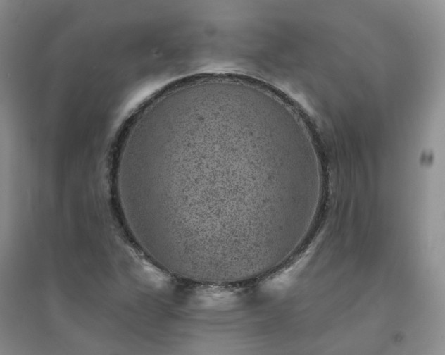 X0000094441311200711151355
