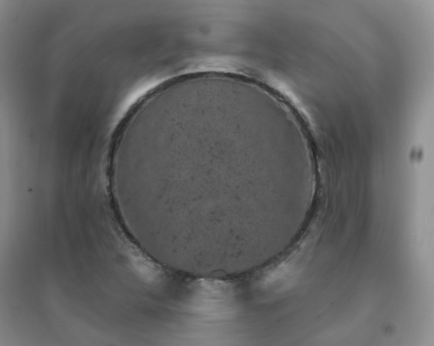 X0000094441312200711151355
