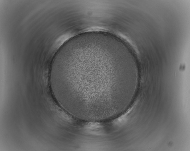X0000094441313200711151355