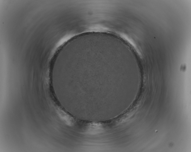 X0000094441315200711151355