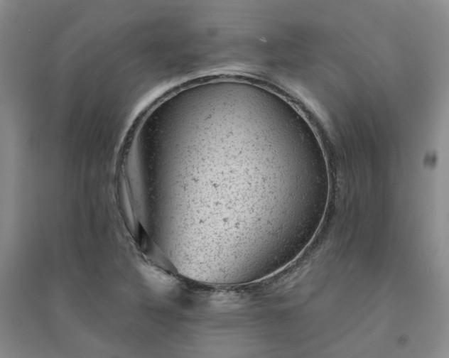 X0000094441316200711151355