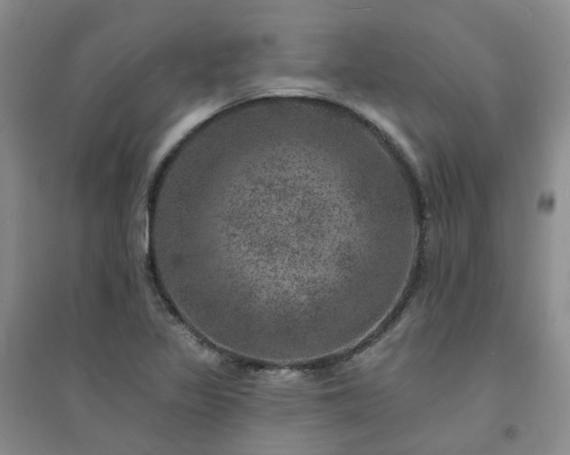 X0000094441317200711151355