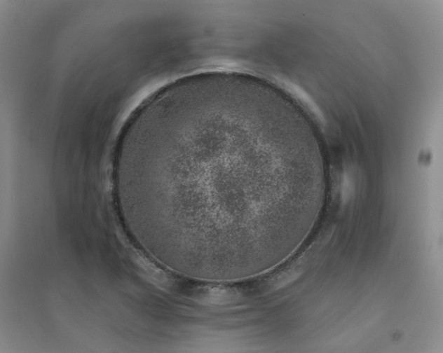 X0000094441318200711151355