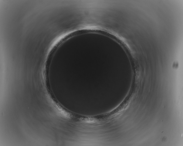 X0000094441319200711151355