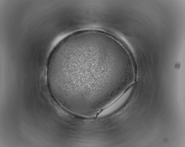 X0000094441320200711151356