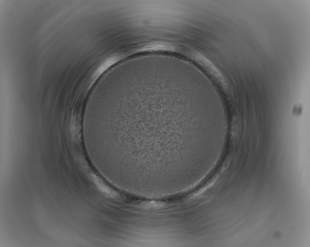 X0000094441321200711151356