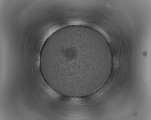 X0000094441322200711151356