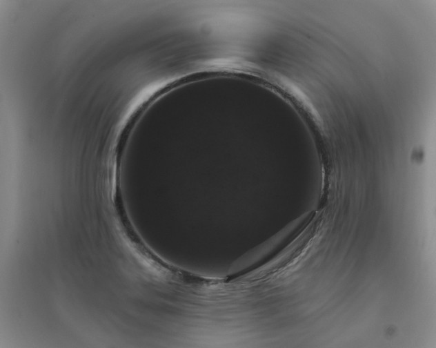 X0000094441323200711151356