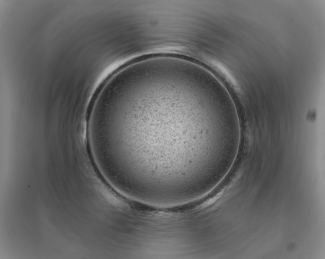 X0000094441324200711151356