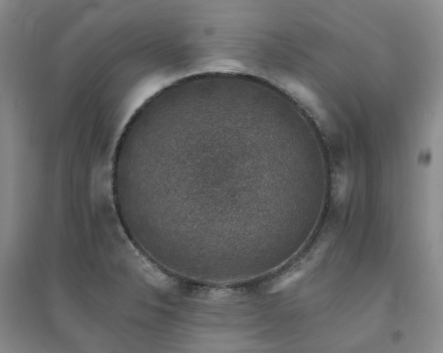 X0000094441326200711151356
