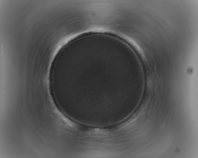 X0000094441327200711151356