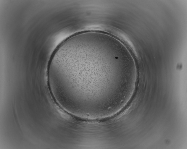X0000094441328200711151356