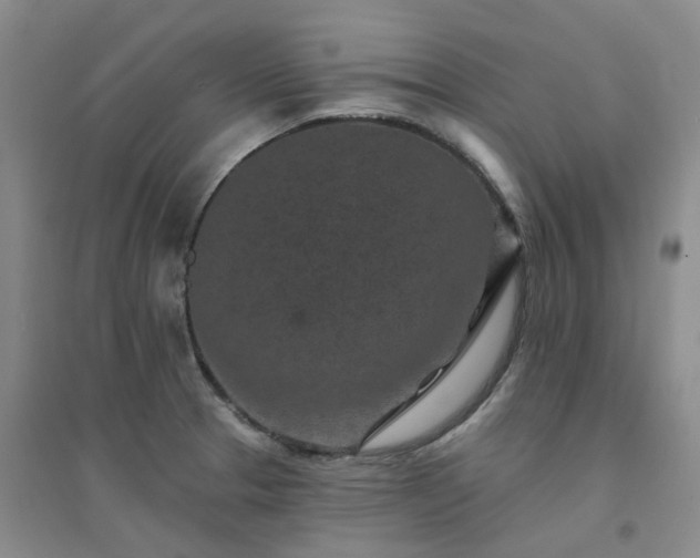 X0000094441329200711151356