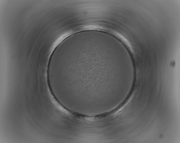 X0000094441330200711151356