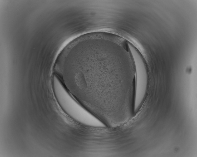 X0000094441332200711151356