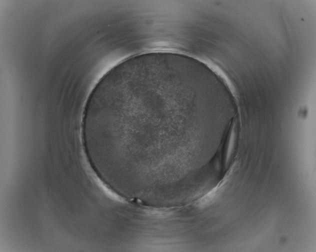 X0000094441333200711151356
