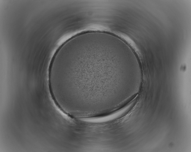 X0000094441335200711151356