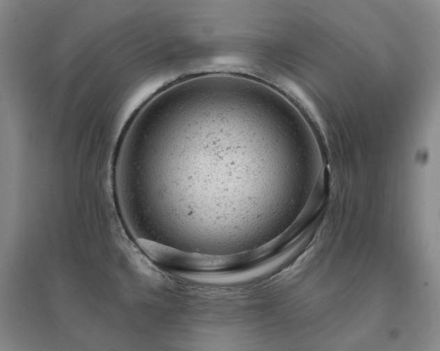 X0000094441336200711151356