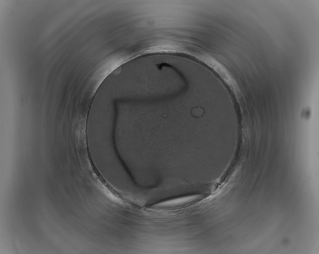 X0000094441337200711151356
