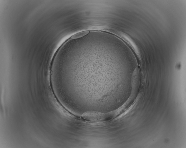 X0000094441340200711151356