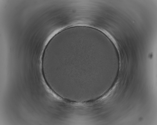 X0000094441341200711151356