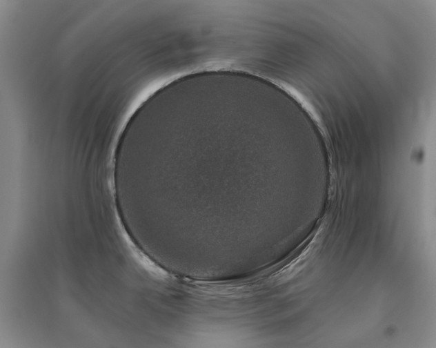 X0000094441342200711151356