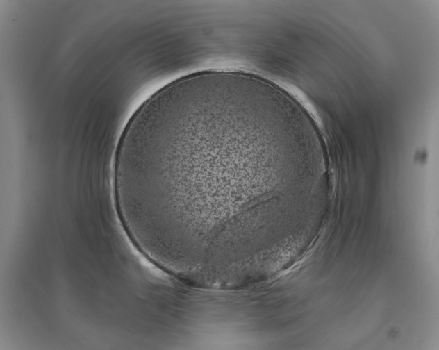 X0000094441343200711151356