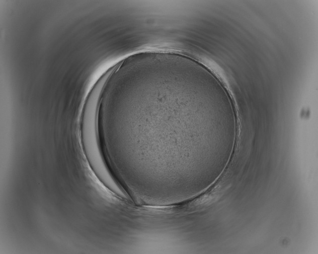 X0000094441344200711151356