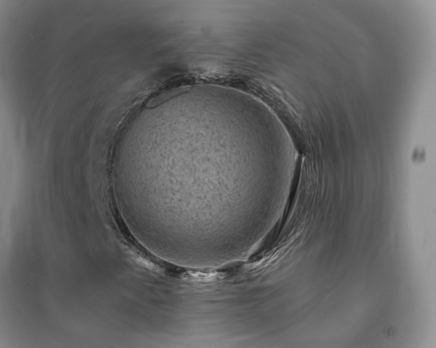 X0000094441345200711151355