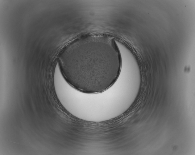 X0000094441348200711151355