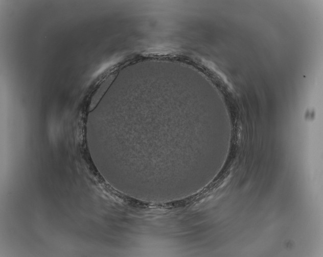 X0000094441350200711151355