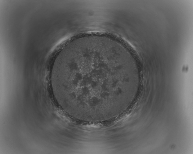 X0000094441351200711151355