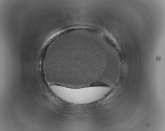 X0000094441352200711151355