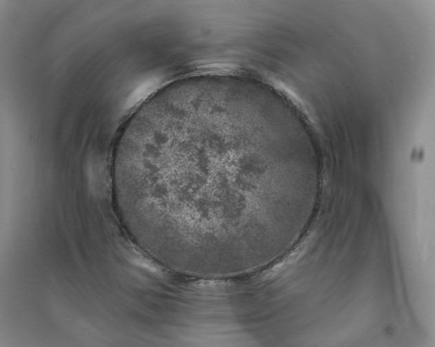 X0000094441354200711151355