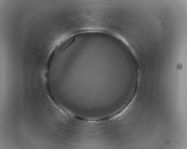 X0000094441357200711151355