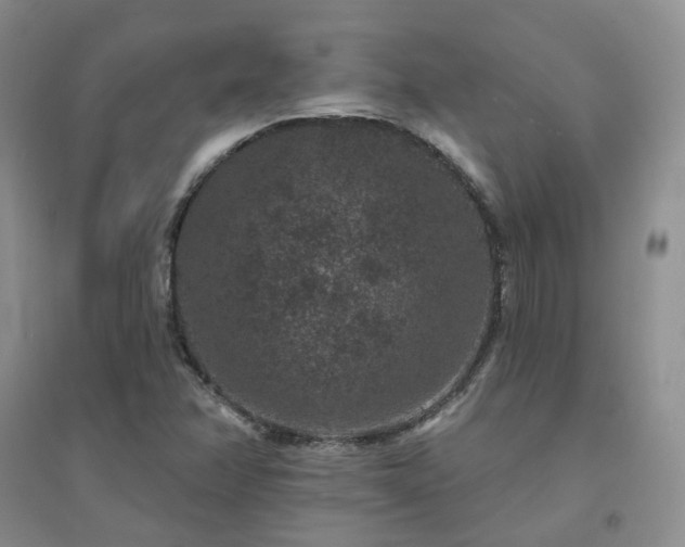X0000094441358200711151355