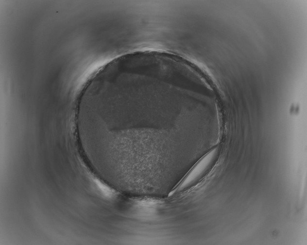 X0000094441359200711151355