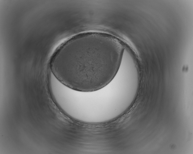 X0000094441360200711151355