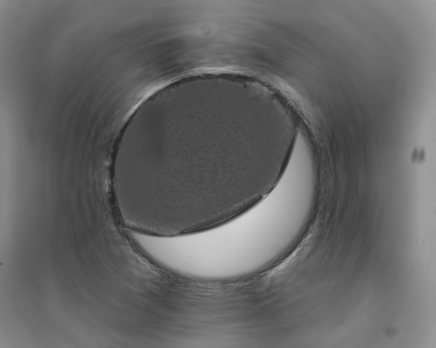 X0000094441361200711151355