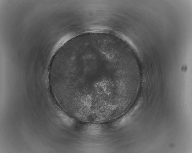X0000094441362200711151355