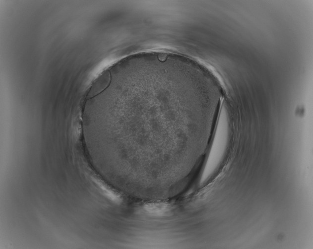 X0000094441363200711151355