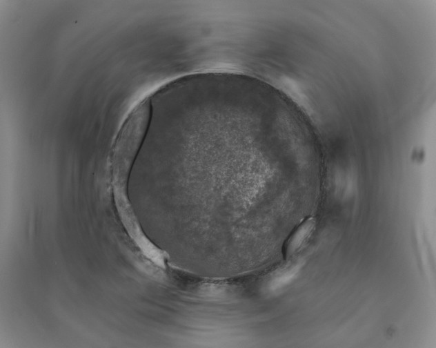 X0000094441364200711151355