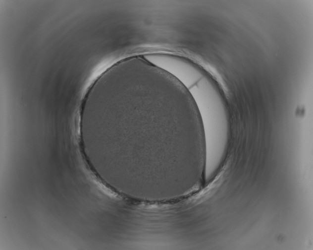 X0000094441365200711151355