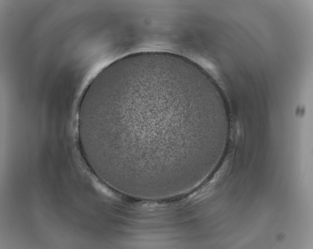 X0000094441366200711151355