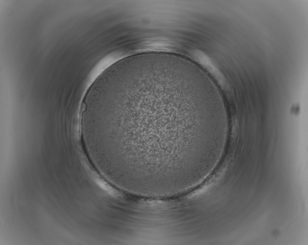 X0000094441370200711151355
