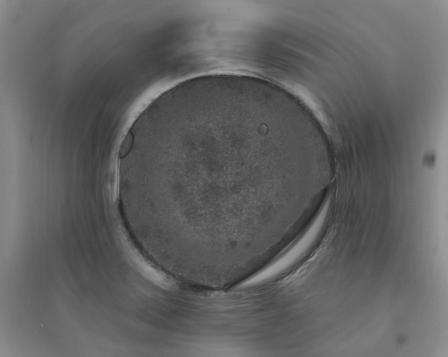 X0000094441371200711151355