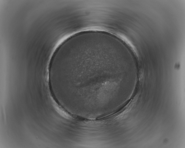 X0000094441372200711151355