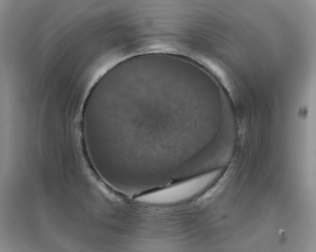 X0000094441373200711151355
